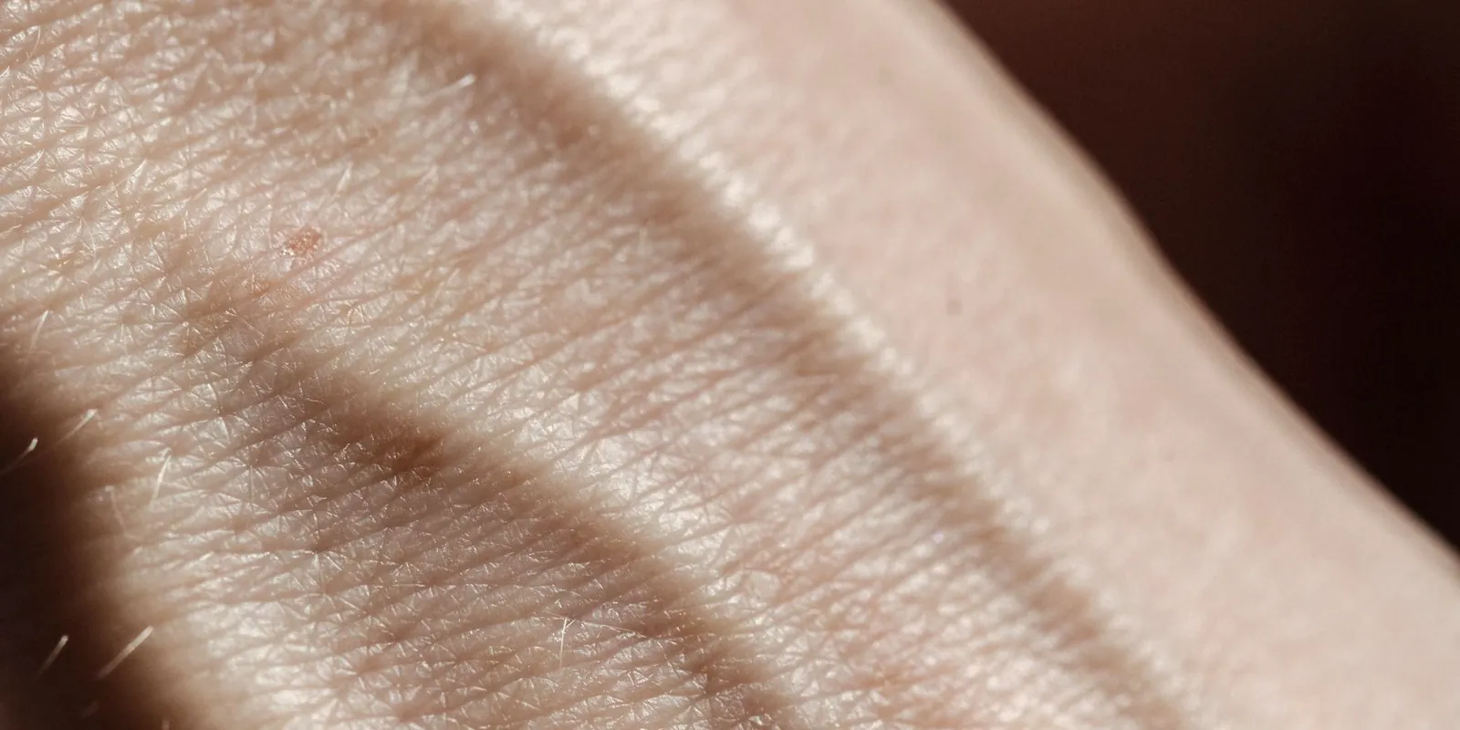 Piel de la pierna en primer plano bajo luz cálida de verano